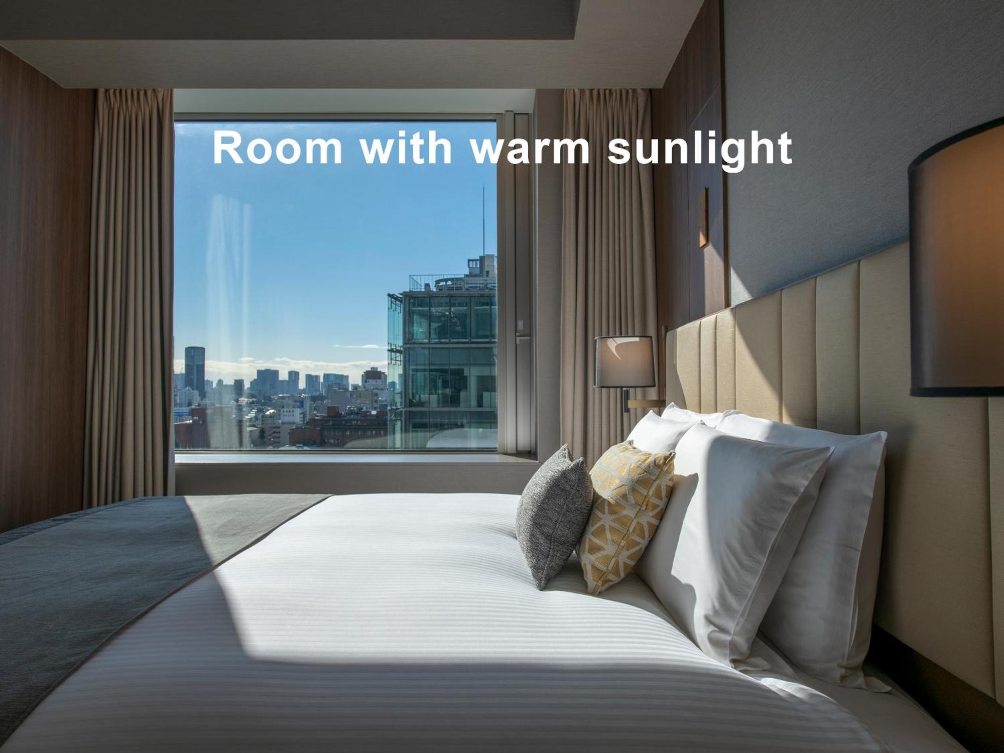 Mitsui Garden Hotel Roppongi Tokyo Premier Dış mekan fotoğraf Room with warm sunlight
